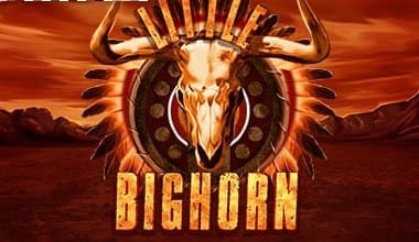 Little Bighorn